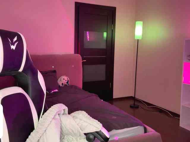 VersieBruegman webcam