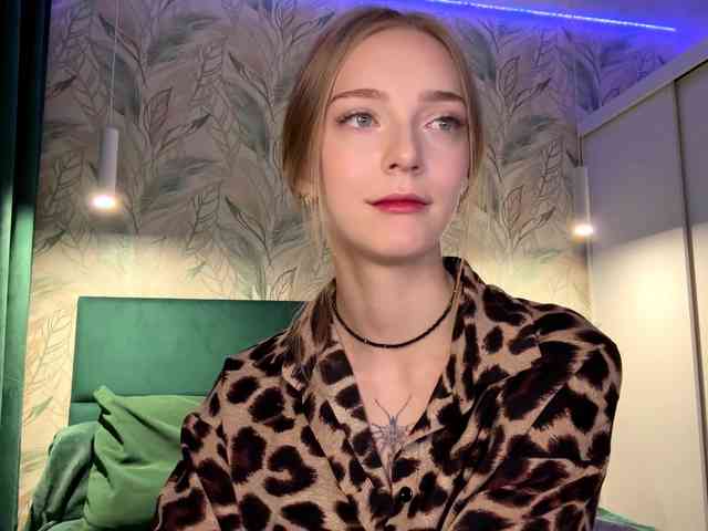 VersieBruegman webcam