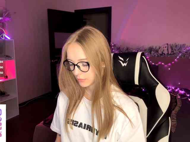 VersieBruegman webcam