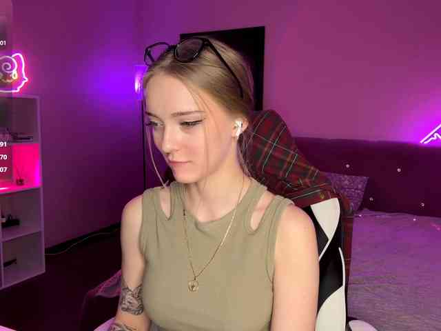 VersieBruegman webcam