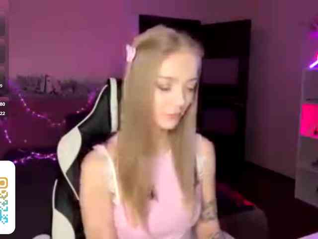 VersieBruegman webcam