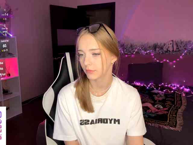 VersieBruegman webcam