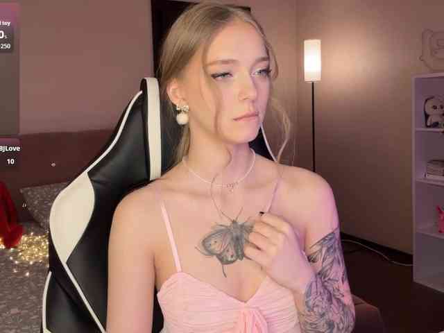 VersieBruegman webcam