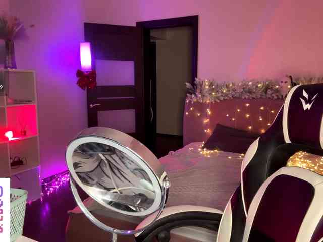 VersieBruegman webcam