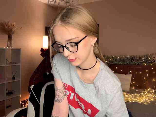 VersieBruegman webcam