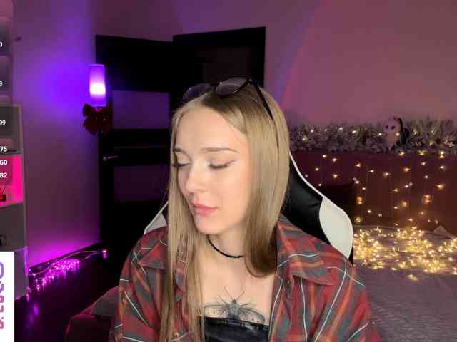 VersieBruegman webcam