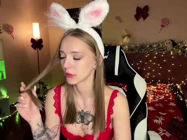 VersieBruegman webcam