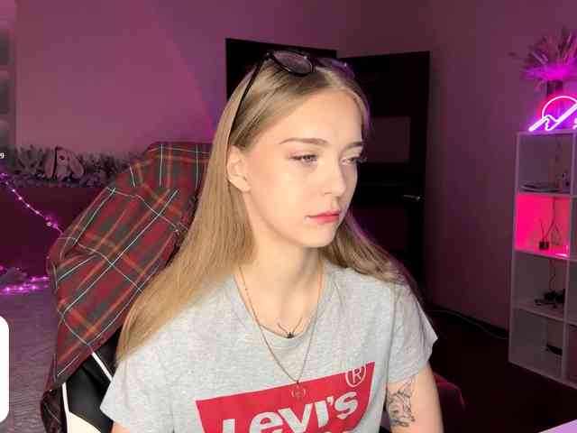 VersieBruegman webcam