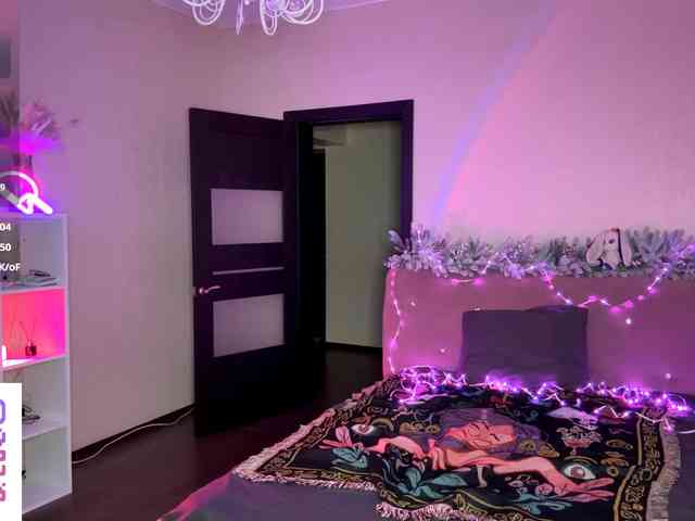 VersieBruegman webcam