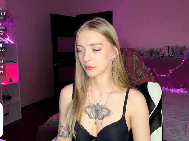 VersieBruegman webcam