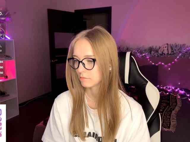 VersieBruegman webcam