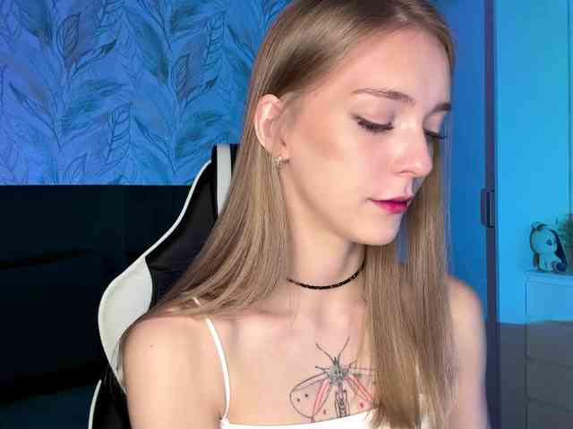 VersieBruegman webcam