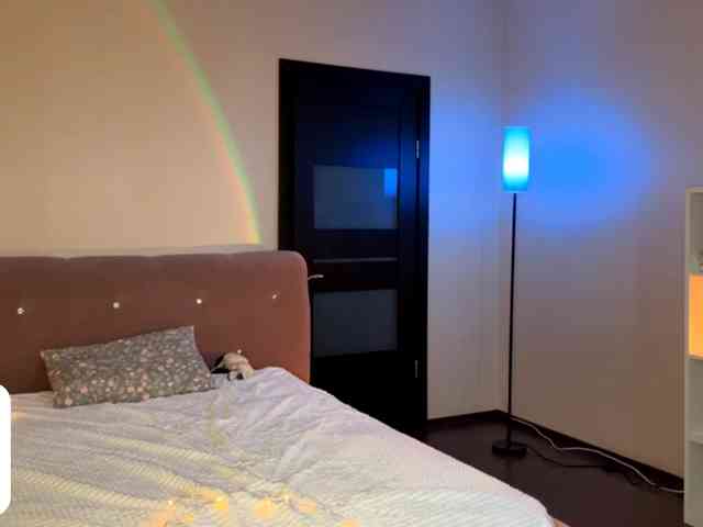 VersieBruegman webcam