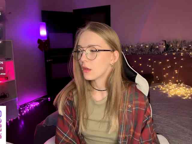 VersieBruegman webcam