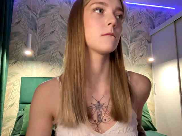 VersieBruegman webcam