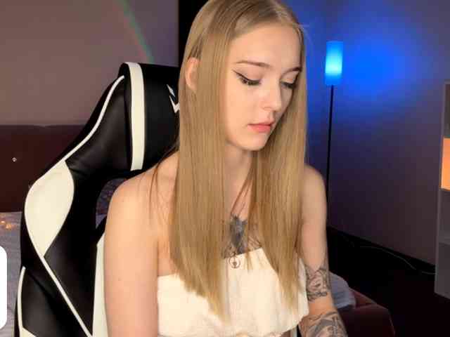 VersieBruegman webcam