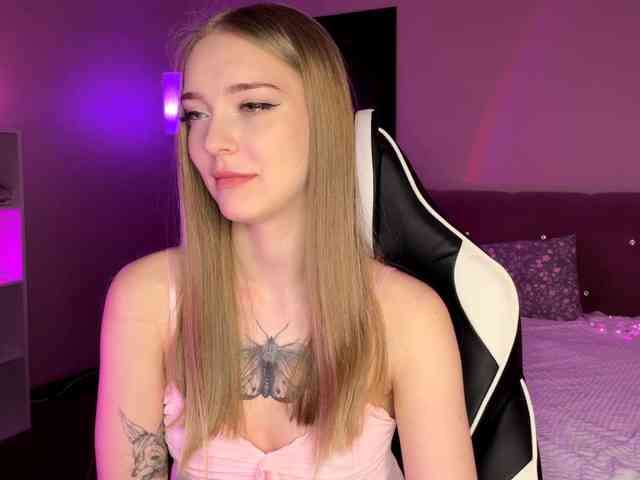 VersieBruegman webcam