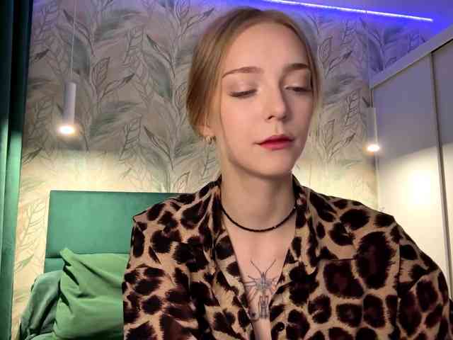 VersieBruegman webcam