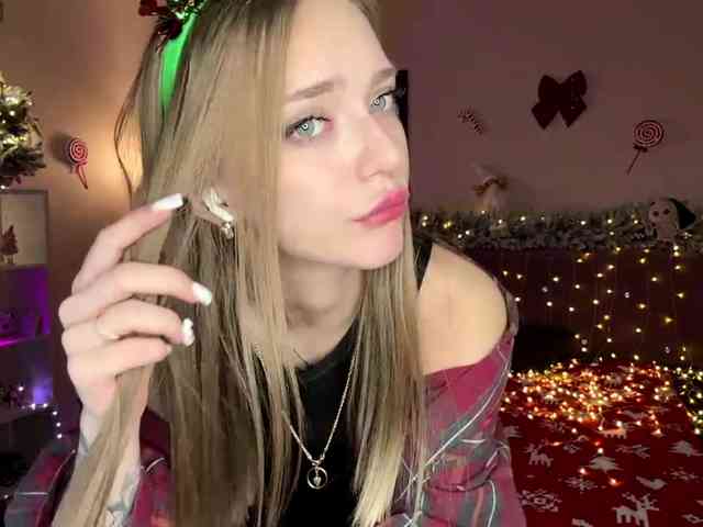 VersieBruegman webcam