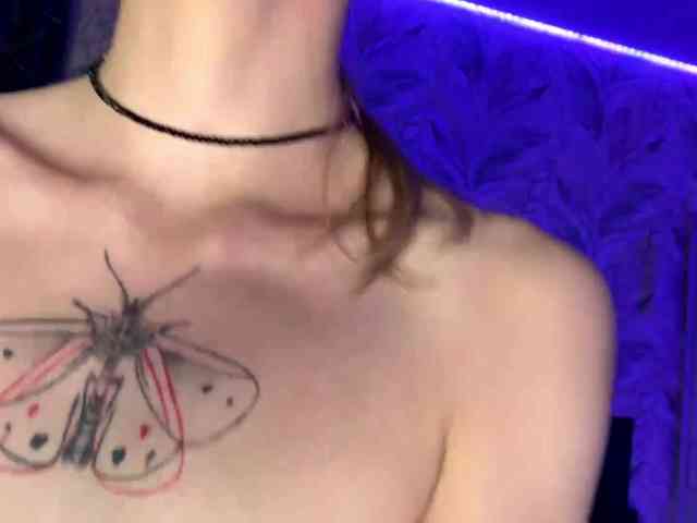 VersieBruegman webcam