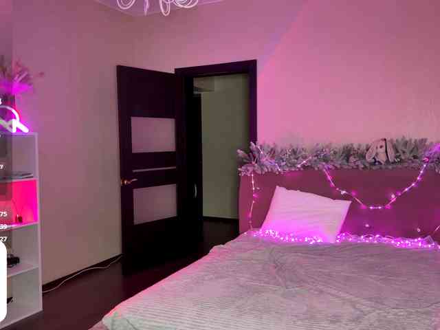 VersieBruegman webcam