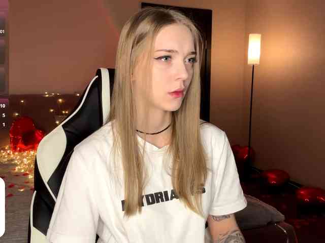 VersieBruegman webcam