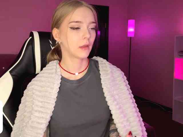 VersieBruegman webcam