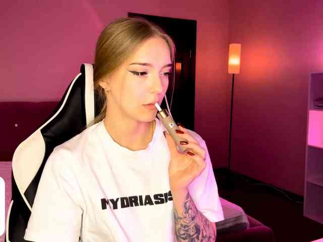 VersieBruegman webcam