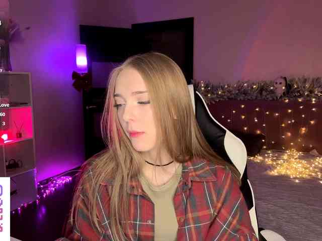 VersieBruegman webcam