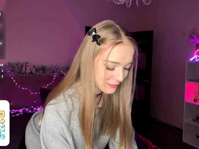 VersieBruegman webcam