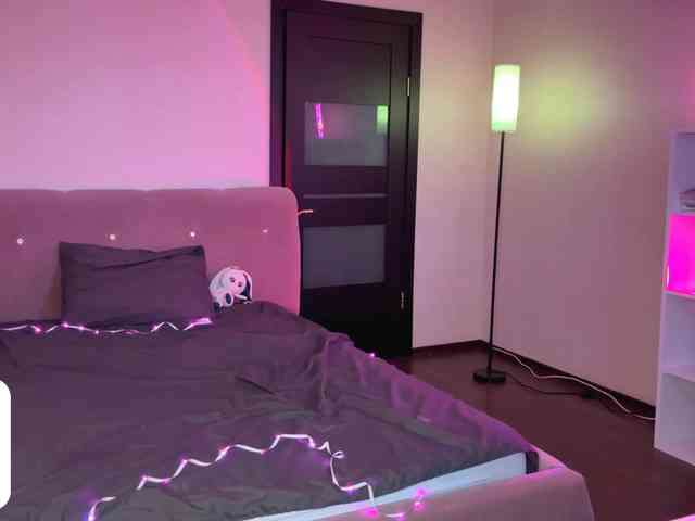 VersieBruegman webcam