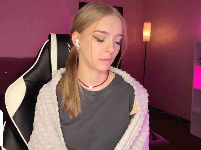 VersieBruegman webcam