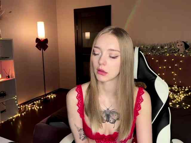 VersieBruegman webcam