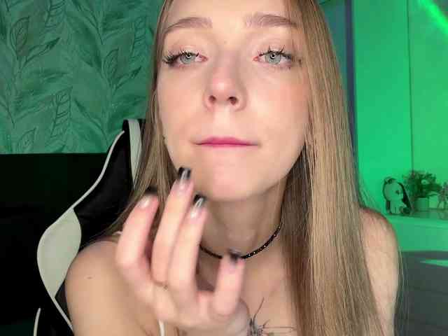 VersieBruegman webcam