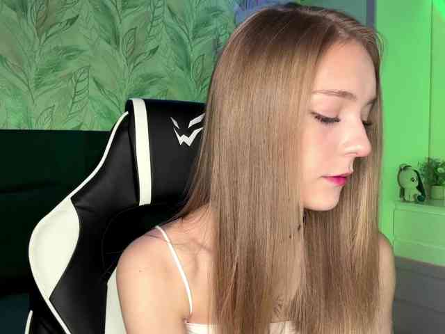 VersieBruegman webcam