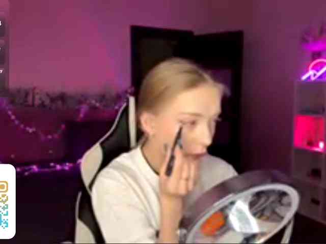 VersieBruegman webcam