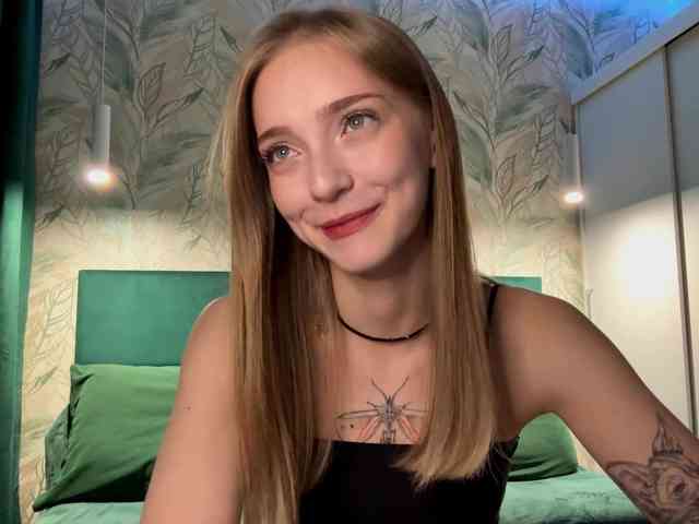 VersieBruegman webcam