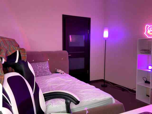 VersieBruegman webcam