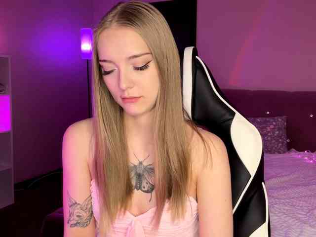 VersieBruegman webcam