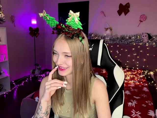 VersieBruegman webcam