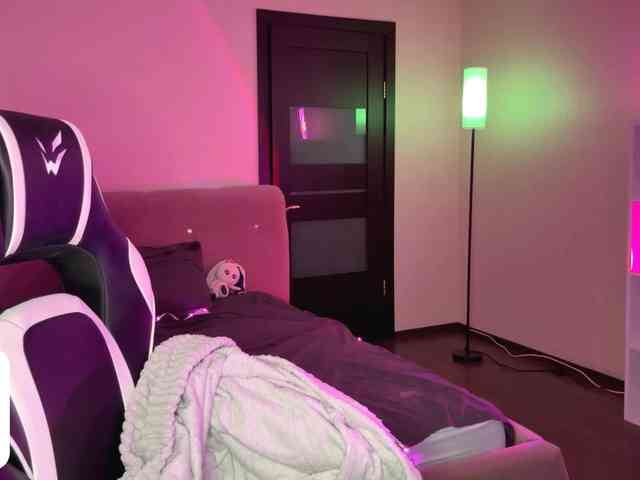 VersieBruegman webcam