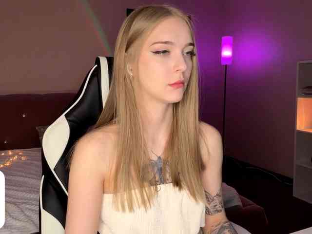 VersieBruegman webcam