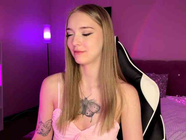 VersieBruegman webcam