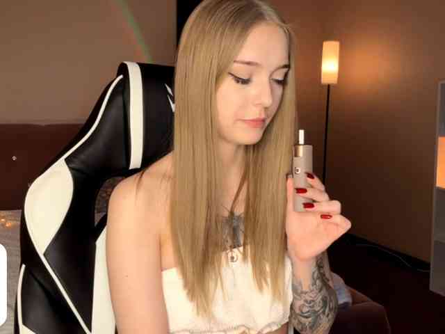 VersieBruegman webcam