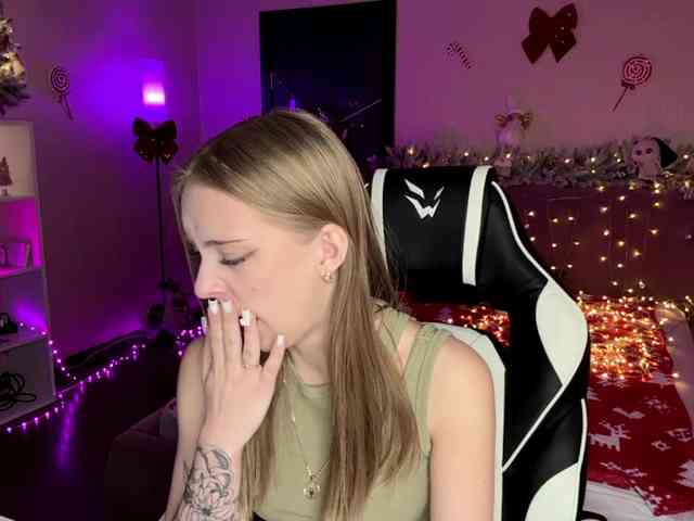 VersieBruegman webcam