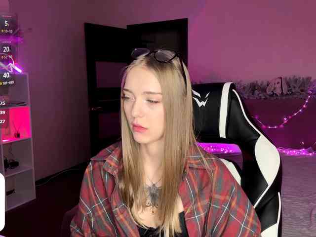 VersieBruegman webcam