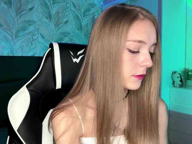 VersieBruegman webcam