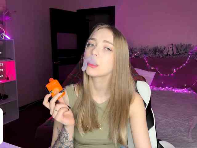 VersieBruegman webcam