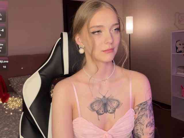 VersieBruegman webcam