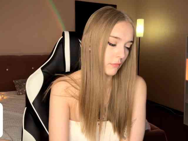 VersieBruegman webcam